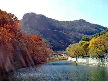 管家婆免费正版资起大全，溶剂油